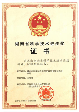 湖南省科學(xué)技術(shù)進步獎-三等獎0.jpg